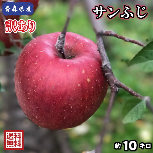 【送料無料】青森県産　サンふじ　訳あり　10Kg(約10キロ)　 晩生種りんご　食品　果物　フルーツ　お取り寄せグルメ