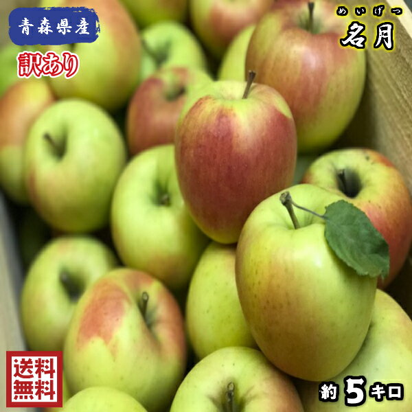 【送料無料】青森県産　名月　訳あり　5Kg(約5キロ)　 中生種りんご　食品　果物　フルーツ　お取り ...