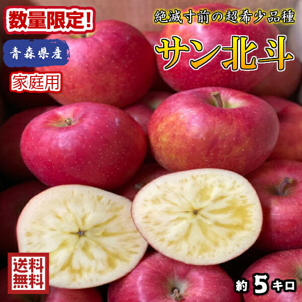 在庫ごくわずか！絶滅寸前の超希少品種が奇跡の入荷！【送料無料】数量限定！青森県産　サン北斗　家庭用　5kg(約5キロ)　 中生種りんご　食品　果物　フルーツ　お取り寄せグルメのサムネイル