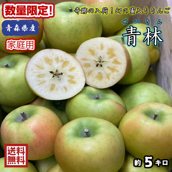 奇跡の入荷！！今の時期は蜜は果肉に吸収されております！！【送料無料】数量限定！青森県産　青林（せいりん）　家庭用　5kg(約5キロ)　 晩生種りんご　食品　果物　フルーツ　お取り寄せグルメ