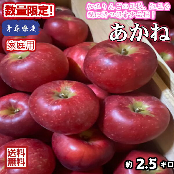 【クール便送料無料】数量限定！超希少！！青森県産　あかね　家庭用　2.5kg(約2.5キロ） 早生種りんご　食品　果物　フルーツ　お取り寄せグルメのサムネイル