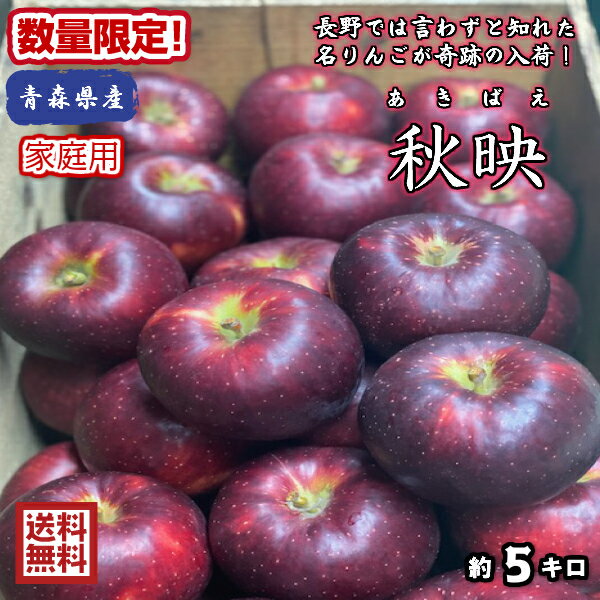 奇跡の入荷！在庫ごくわずかなのでお早めに！！【送料無料】青森県産　秋映（あきばえ）　家庭用　5kg(約5キロ） 中生種りんご　食品　果物　フルーツ　お取り寄せグルメのサムネイル