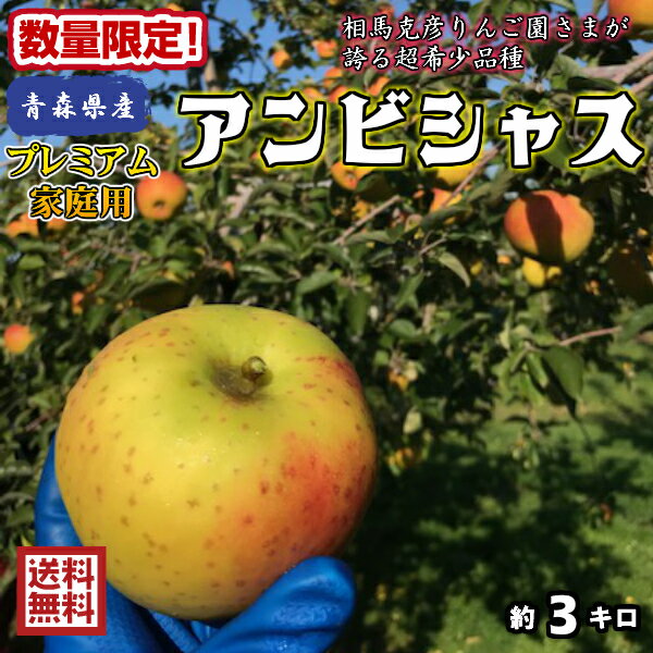 超希少品種がついに解禁！！数量限定！お早めに！！【送料無料】青森県産　アンビシャス　　プレミアム家庭用　3kg(約3キロ） 晩生種りんご　食品　果物　フルーツ　お取り寄せグルメのサムネイル