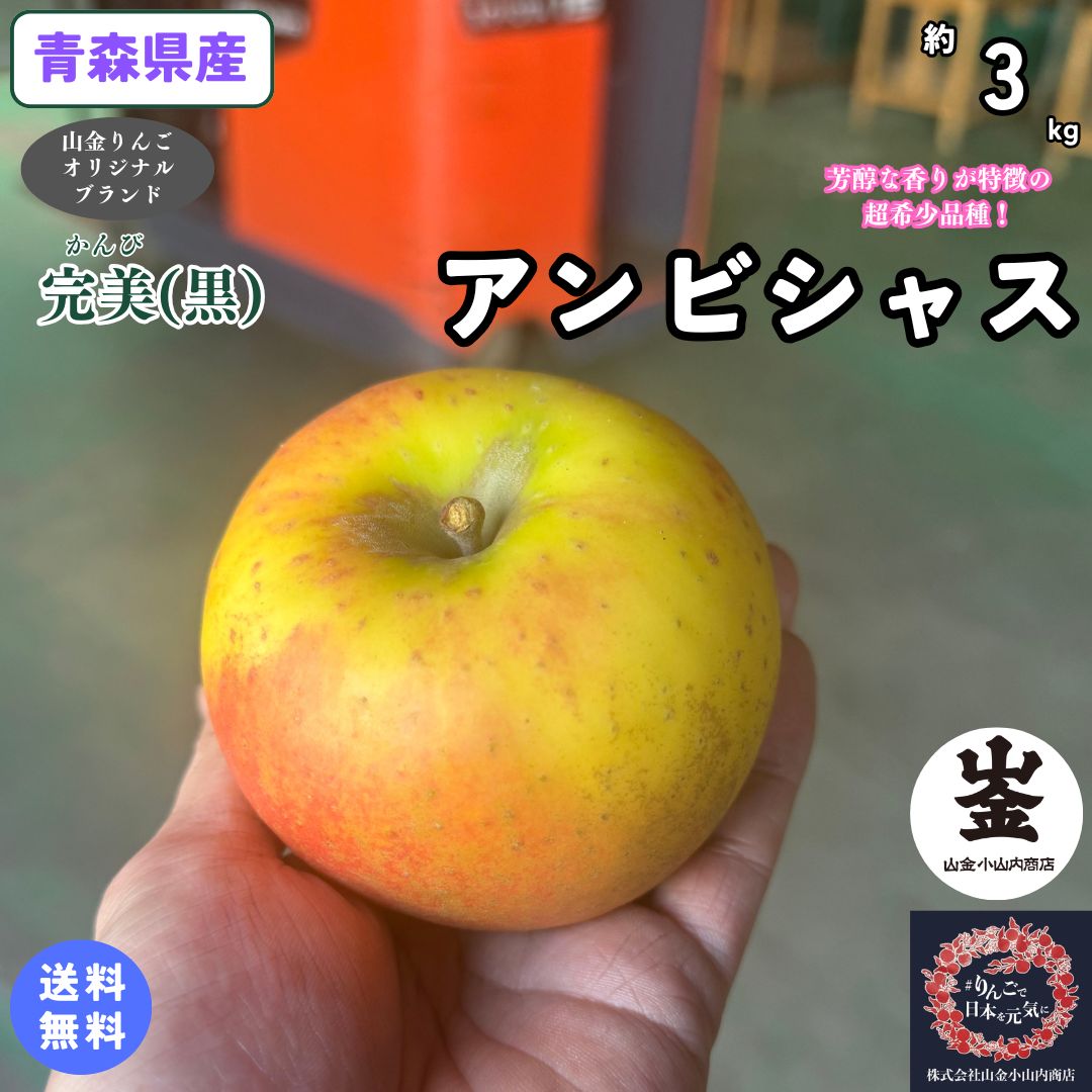 超希少品種がついに解禁！！数量限定！お早めに！！【送料無料】青森県産　アンビシャス　家庭用　3kg(約3キロ） 晩生種りんご　食品　果物　フルーツ　お取り寄せグルメ