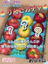 こんな商品が欲しかった！！【送料