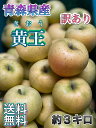 在庫残りわずか！【クール便送料無料】青森県産　黄王　きおう　訳あり　3kg(約3キロ） 早生種りんご　食品　果物　フルーツ　お取り寄せグルメ