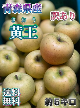 在庫残りわずか！【クール便送料無料】青森県産　黄王　きおう　訳あり　5kg(約5キロ） 早生種りんご　食品　果物　フルーツ　お取り寄せグルメ