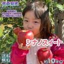 数量限定！青森県産　シナノスイート　プレミアム家庭用　10kg(約10キロ） 中生種りんご　食品　果物　フルーツ　お取り寄せグルメ