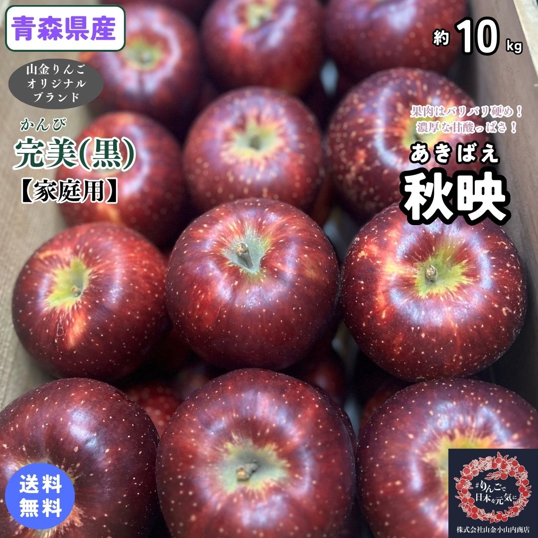 在庫ごくわずかなのでお早めに！【送料無料】青森県産　秋映（あきばえ）　家庭用　10kg(約10キロ） 中生種りんご　食品　果物　フルーツ　お取り寄せグルメのサムネイル