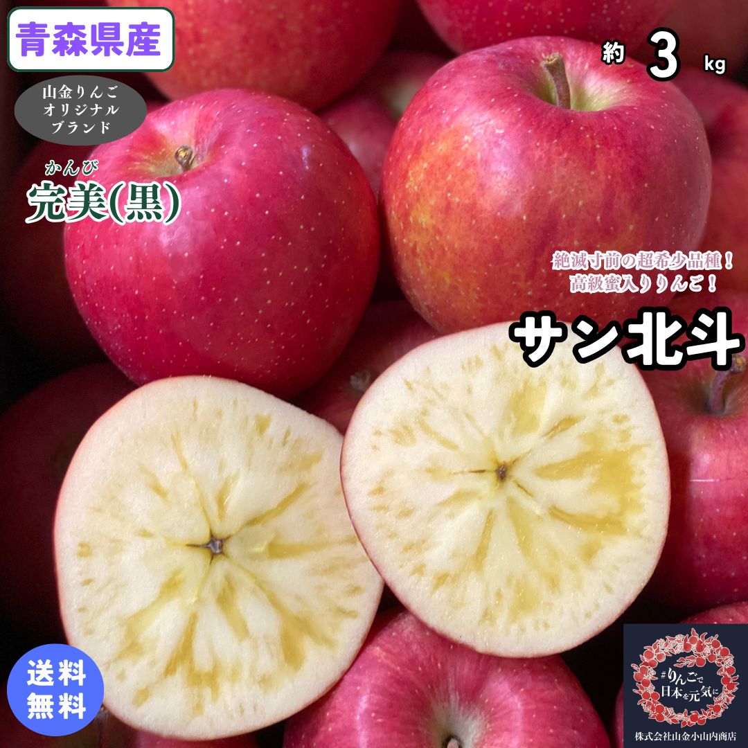 絶滅寸前の超希少品種が奇跡の入荷!【送料無料】数量限定!お試し品!青森県産 サン北斗 家庭用 3kg(約3キロ) 中生種りんご 食品 果物 フルーツ お取り寄せグルメ