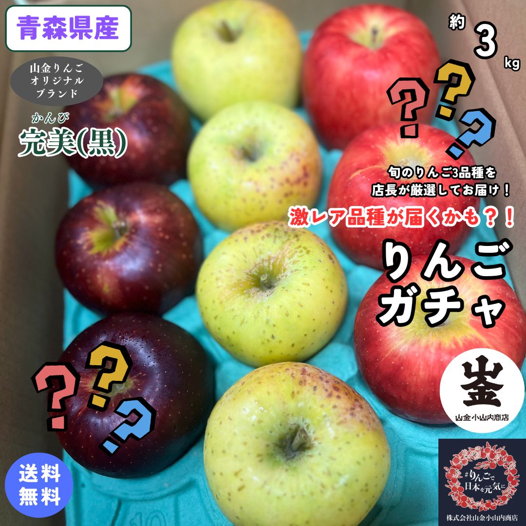 こんな商品が欲しかった！！【送料無料】りんごガチャ　山金りんご店長厳選　青森県産　旬のりんご　詰め合わせ　家庭用　3kg(約3キロ） 早生種　中生種　晩生種　りんご　食品　果物　フルーツ　お取り寄せグルメ