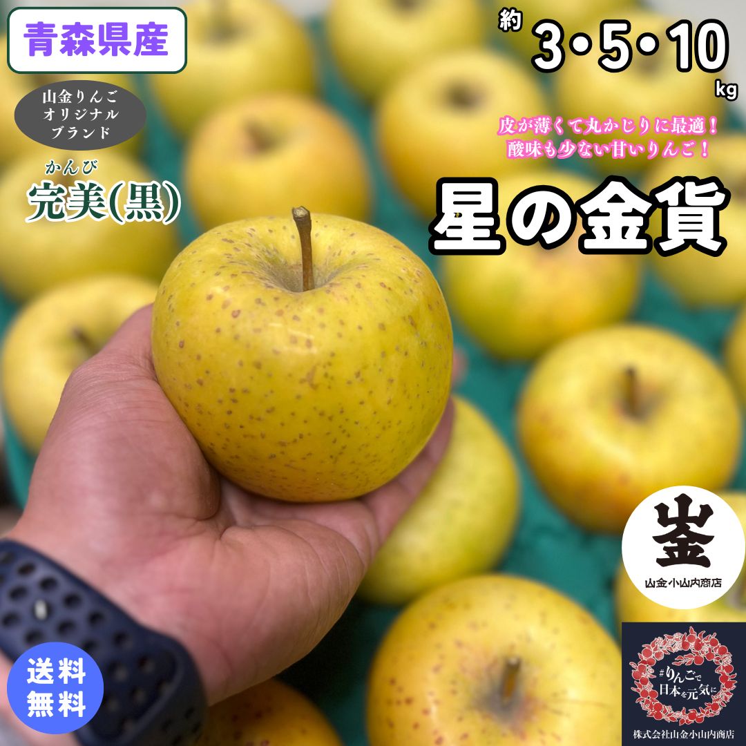 【送料無料】数量限定！お試し品！青森県産　星の金貨　家庭用　約3・5・10kg(約3・5・10キロ)　 晩生種りんご　食品　果物　フルーツ　お取り寄せグルメ
