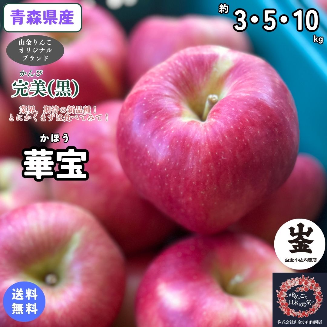 【店長激推し！とにかく食べてみて！！】りんご業界、期待の新品種！【送料無料】青森県産　華宝　（かほう）　家庭用　3・5・10kg(約3・5・10キロ） 中生種りんご　食品　果物　フルーツ　お取り寄せグルメ