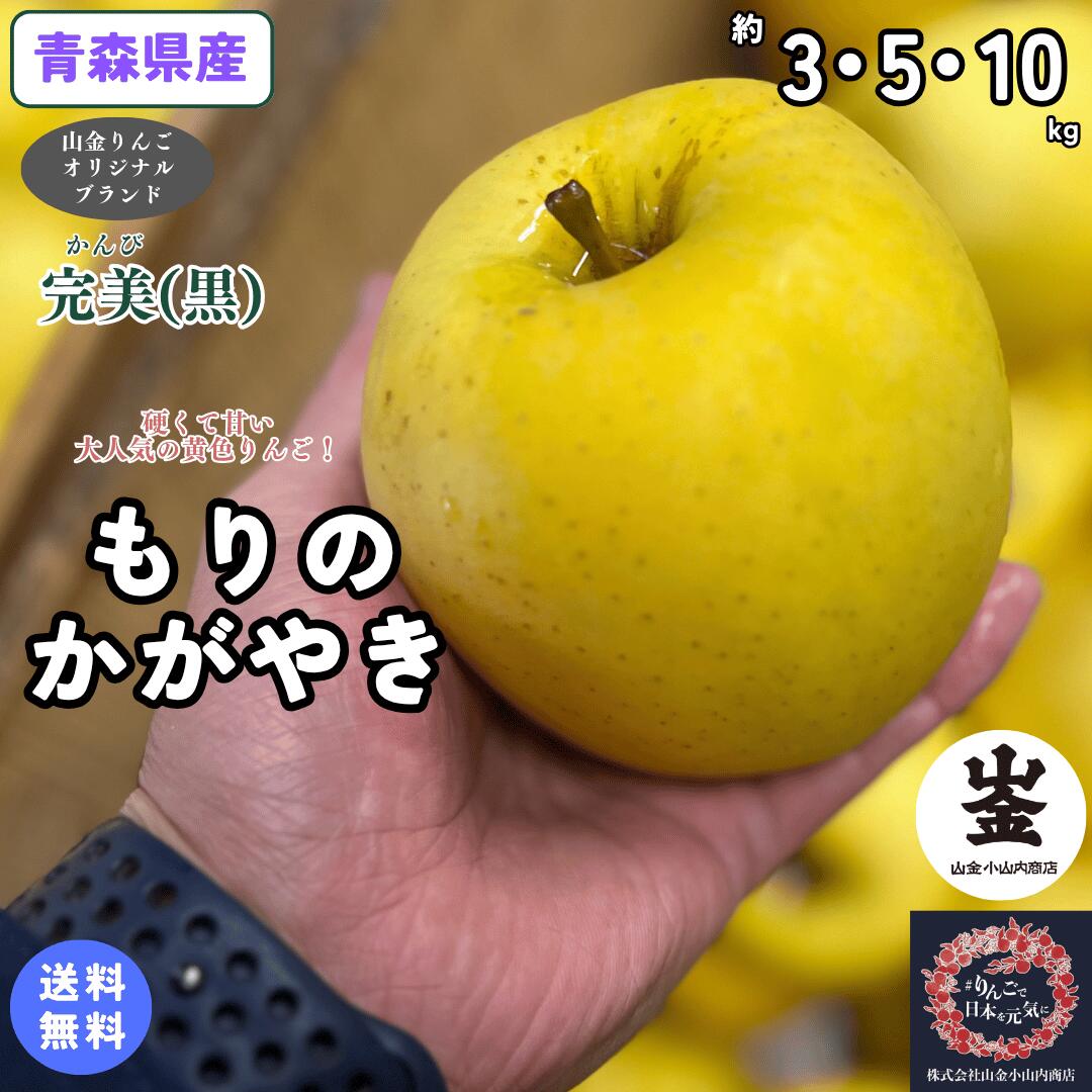 極上の食味の黄色りんご！ 数量限定！青森県産 もりのかがやき 家庭用…