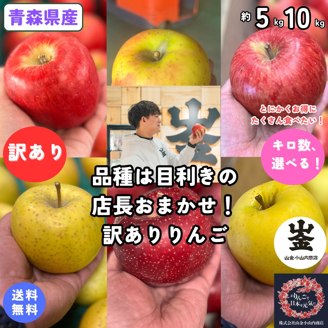 品種は目利きの店長おまかせ！とにかくお得にたくさん食べたい方におすすめ！【送料無料】青森県産　店長おまかせ　訳あり　約5・10Kg(約5・10キロ)　 晩生種りんご　食品　果物　フルーツ　お取り寄せグルメ
