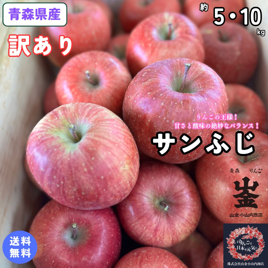 見た目は訳ありでも味は最高！！とにかくいっぱいりんご食べて！！【送料無料】青森県産　サンふじ　訳あり　約5・10Kg(約5・10キロ)　 晩生種りんご　食品　果物　フルーツ　お取り寄せグルメ