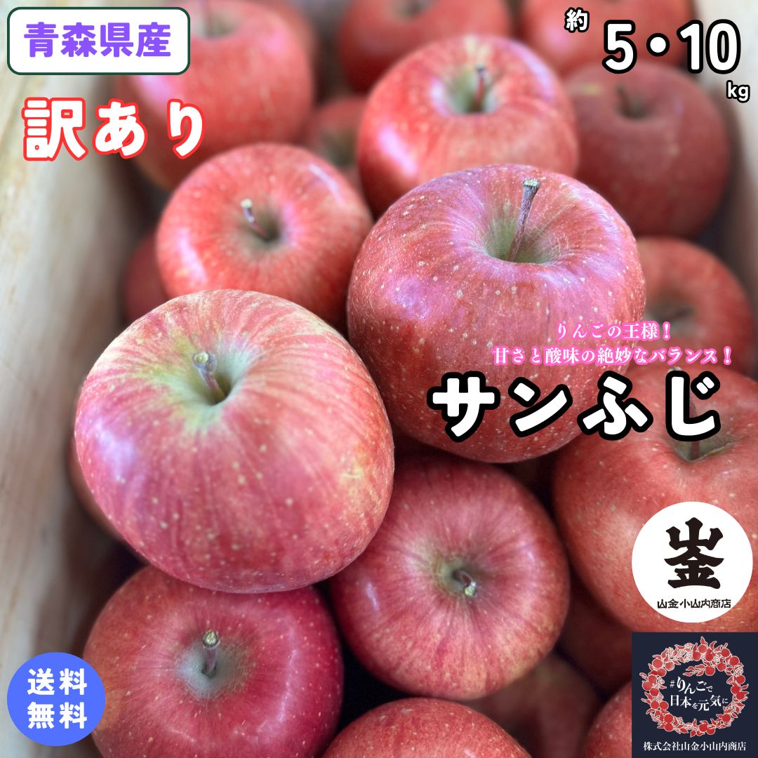 見た目は訳ありでも味は最高！！とにかくいっぱいりんご食べて！！【送料無料】青森県産　サンふじ　訳あり　約5・10Kg(約5・10キロ)　 晩生種りんご　食品　果物　フルーツ　お取り寄せグルメ