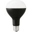 ꥹ LEDŵ  3000lm E39 [饤 饤   LED  ۸ ɱ   ɿ   ] LDR25D-H-E39-E