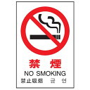 光 多国語ピクトサイン【禁煙】 TGP2032-1