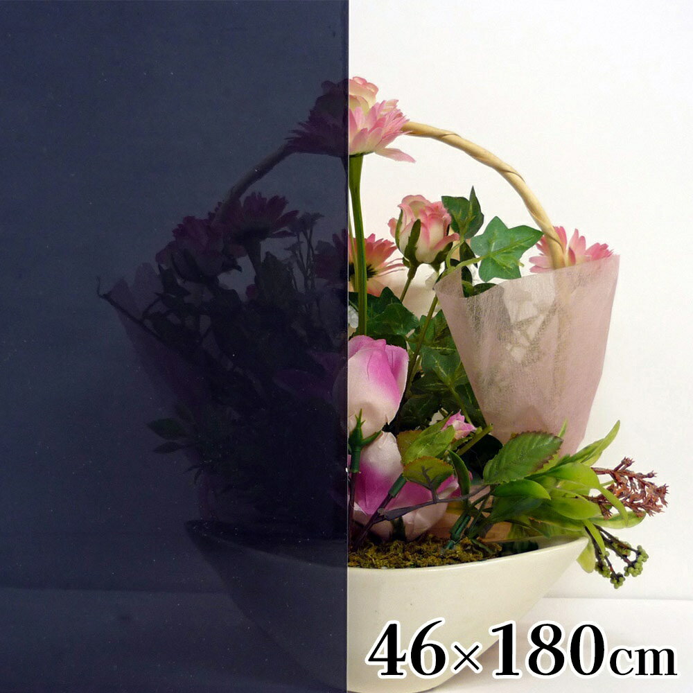 ۡॻ󥿡ޥŷԾŹ㤨¥ӥ ꥷȾʥ 46180cm⡼ [ƥꥢ 饹 ץ饤Хݸ ܱ ñ 糰å ʥ] GP-4691פβǤʤ822ߤˤʤޤ