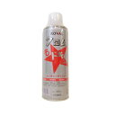 ROBAL クロムもドキッ めっきタッチスプレー 330ml