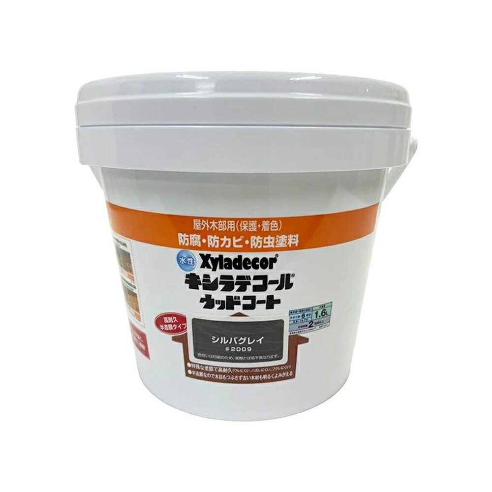 ڥϥԥ  ǥ åɥS Х쥤 [ں     åɥǥå ٥ ϥ  ʽ] 1.6L