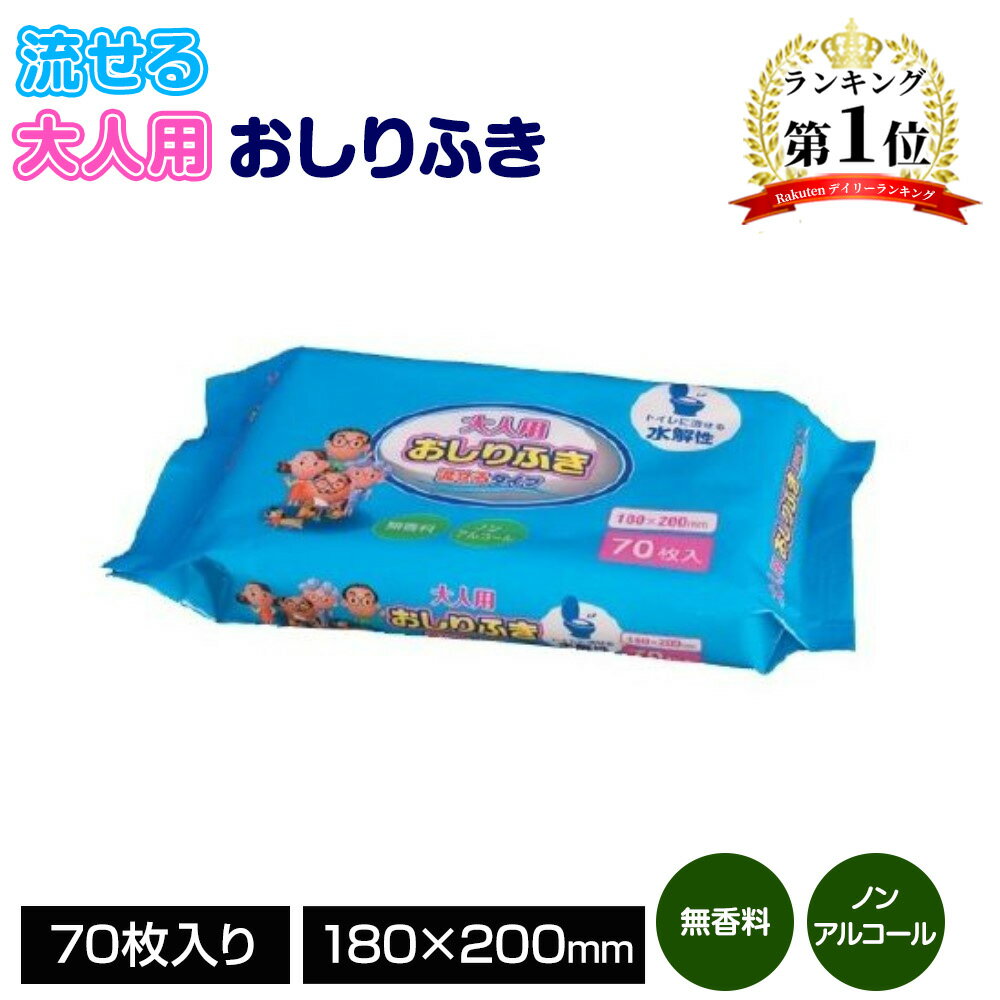 大一紙工 大人用おしりふき 流せるタイプ [ウェットシート ウェットティッシュ 介護用品] 70枚入