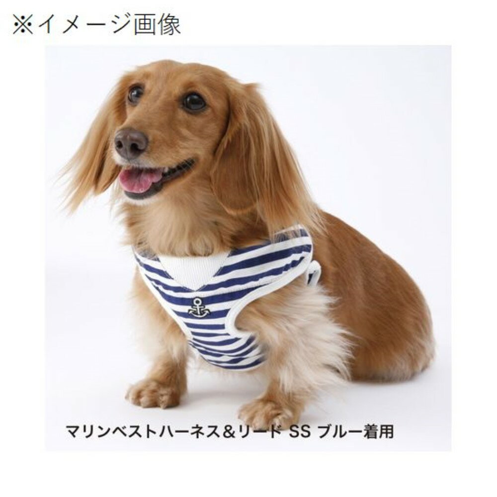 ペティオ Wan Wan Casual ワンワンカジュアル マリンベストハーネス＆リード S [犬 ドッグ ハーネス リード 胴輪 小型犬] ブルー