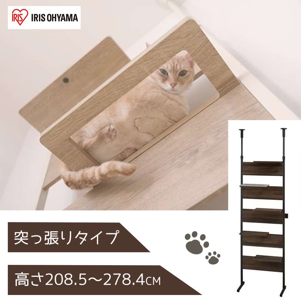 ACXI[} LbgXebv 208.5`278.4cm [ybg L Lbg^[ ˂ ؖڒ ̂] CATS-68 EH[ibg [qlgi] yZz