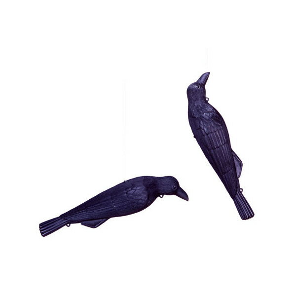 ミツギロン コワガラス EG-18