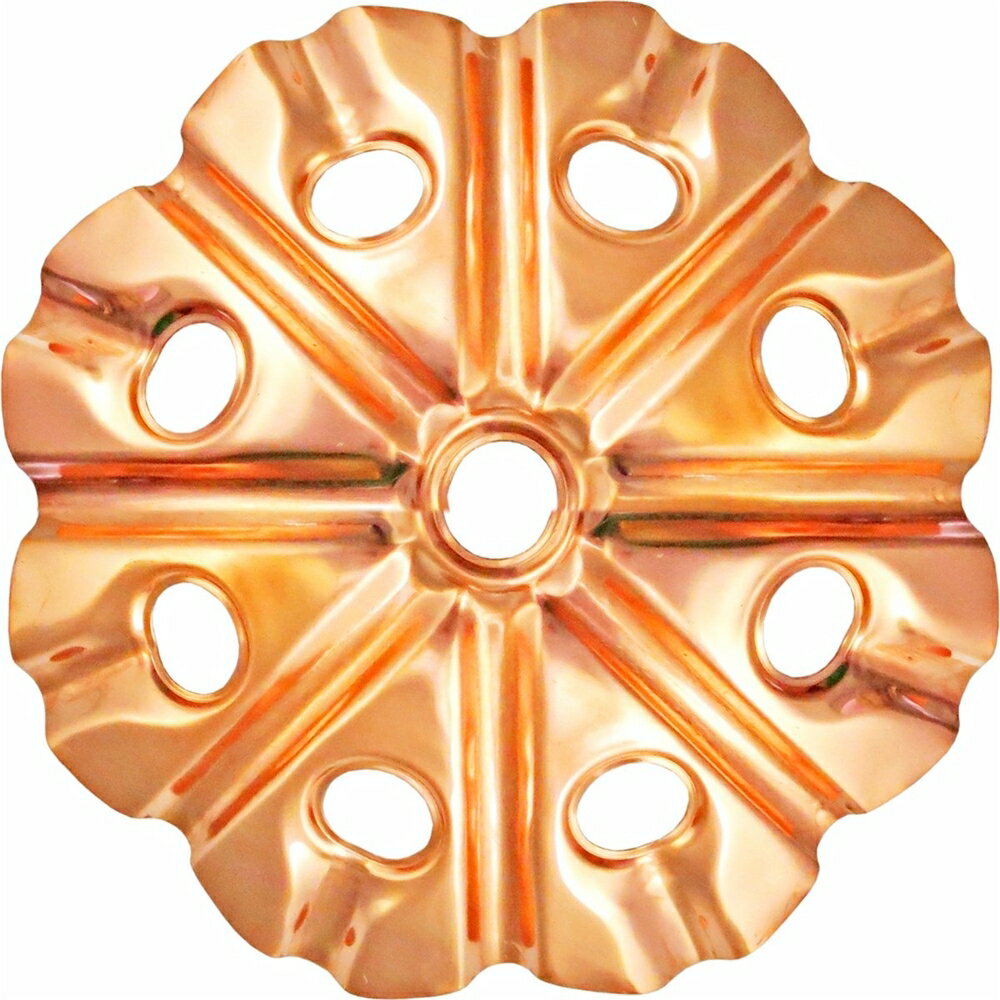 GARDEN FRIENDS 防虫銅底アミ 大 丸型 3枚入 3枚