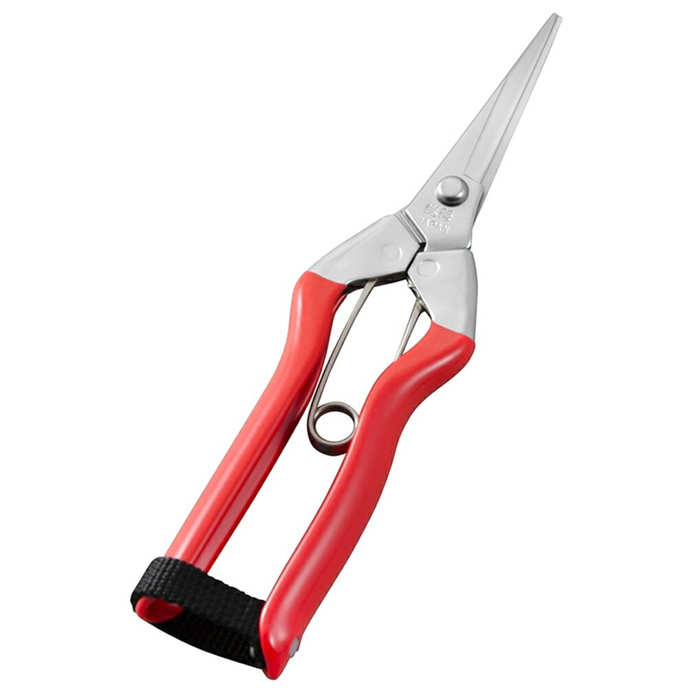 越路 オールステンレスシリーズ S-1