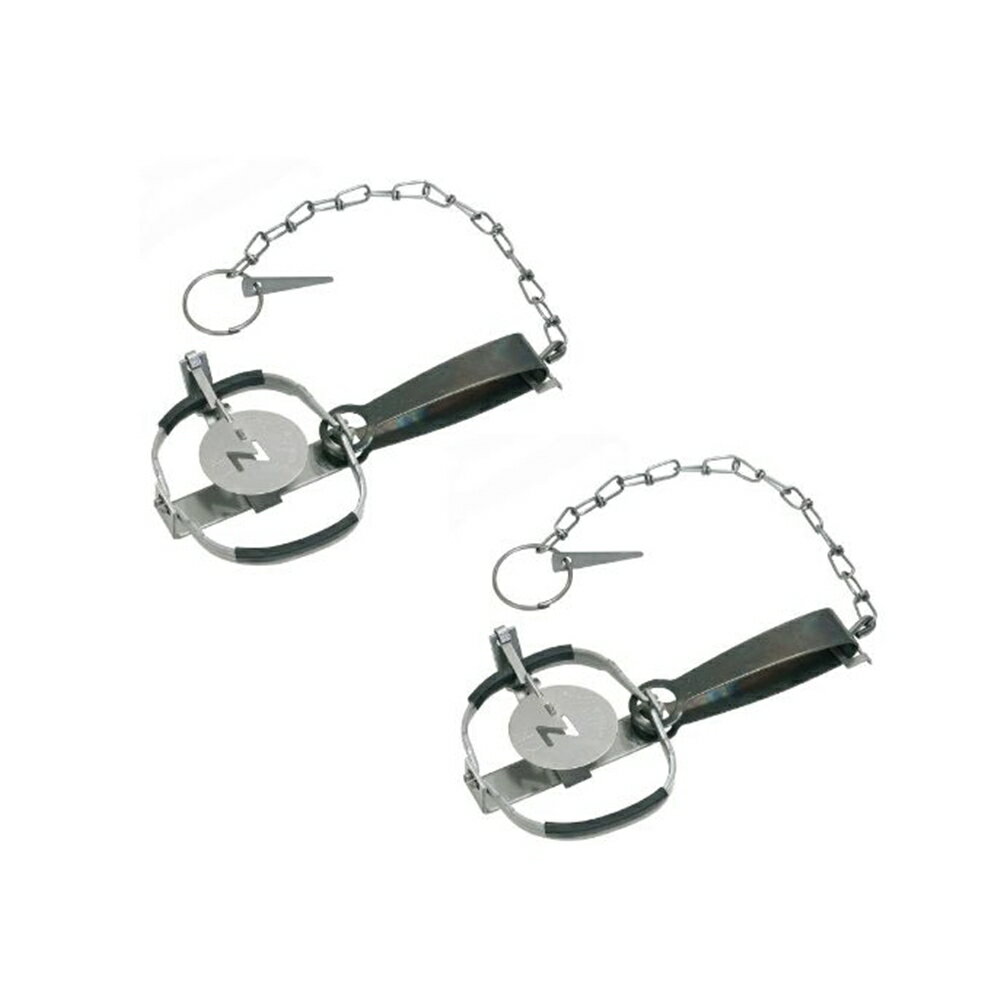 栄工業 栄ヒルズ トラップ Ctype 2個入 No.101 [小型動物用 トラバサミ 捕獲器 忌避用品 わな ねずみ] NZ-1