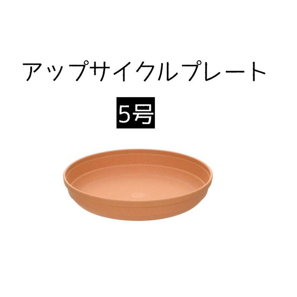リッチェル ひよっこ プレート 5号 [園芸 ガーデニング 植木鉢 受皿 花 卵の殻 再利用] ブラウン
