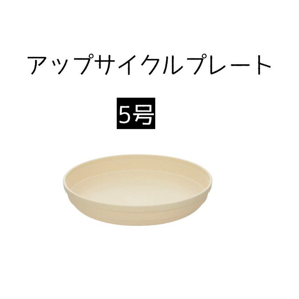 ۡॻ󥿡ޥŷԾŹ㤨֥å Ҥä ץ졼 5 [ ǥ˥ ȭ   γ ] ١פβǤʤ157ߤˤʤޤ