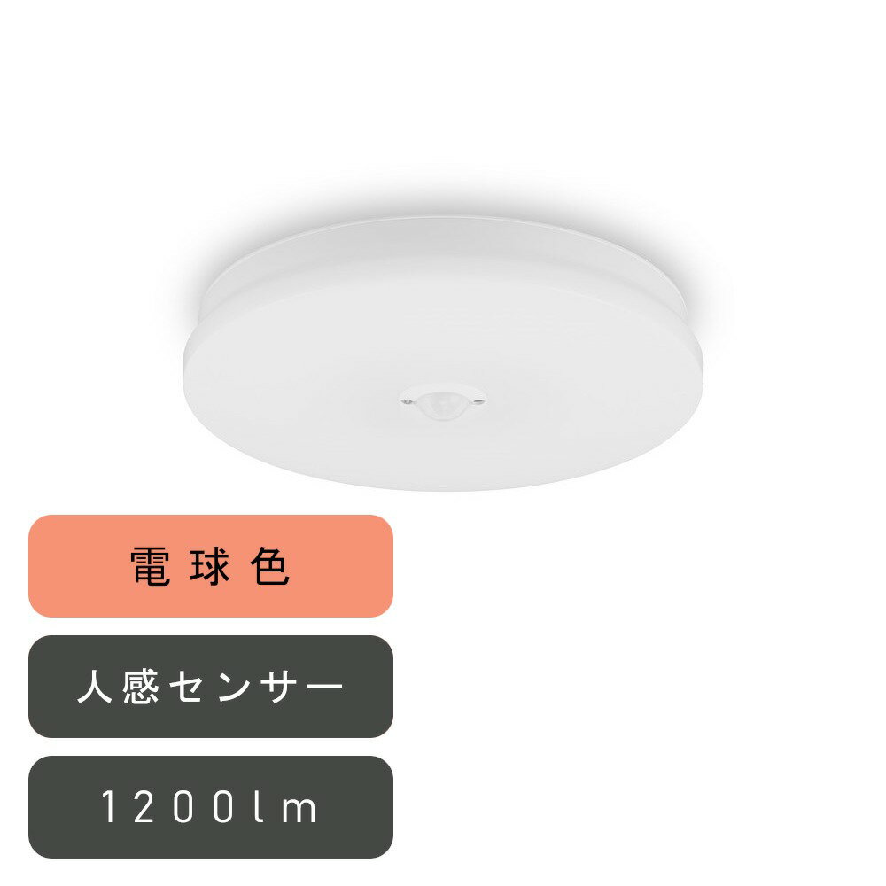 ꥹ 󥰥饤  1200lm ŵ忧 ʹ󥵡 [ñ  ʥ   ] SCL12L-MS-U2