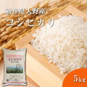 福井精米 令和5年度産　福井県大野産　こしひかり コシヒカリ 精米 5kg