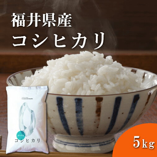 福井精米 新米 令和2年産 福井県産 コシヒカリ 精米 5kg