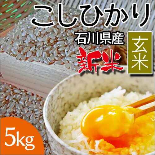 安田商事 新米 令和2年度産　石川県産　コシヒカリ精米 5kg