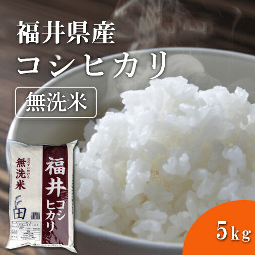 福井精米 新米 令和2年度産　福井県産 コシヒカリ無洗米 こしひかり 精米 5kg