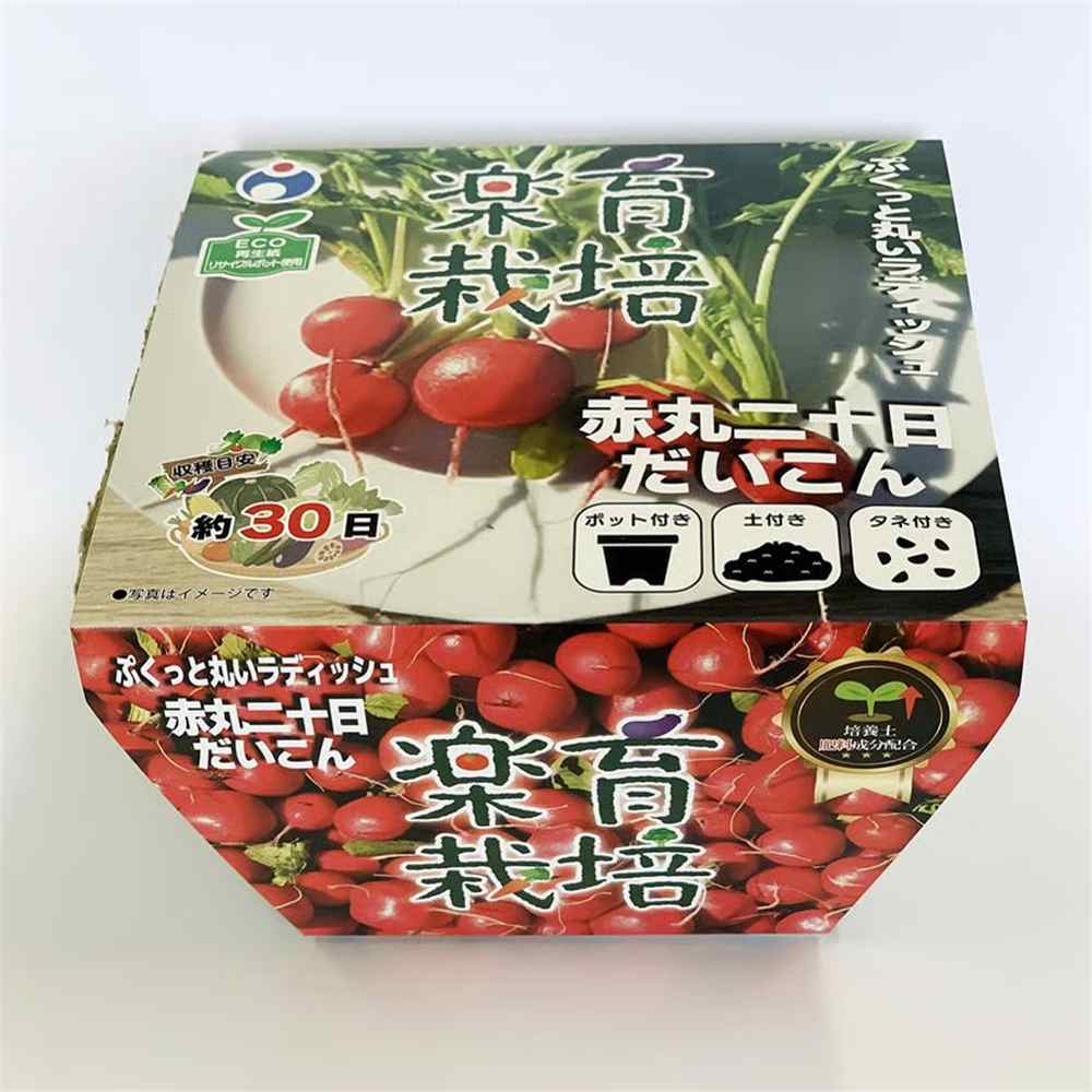 ウタネ 楽育栽培キット 赤丸二十日だいこん [家庭菜園 野菜 大根 ベランダ コンパクト 初心者向け 再生紙ポット ECO] 87217