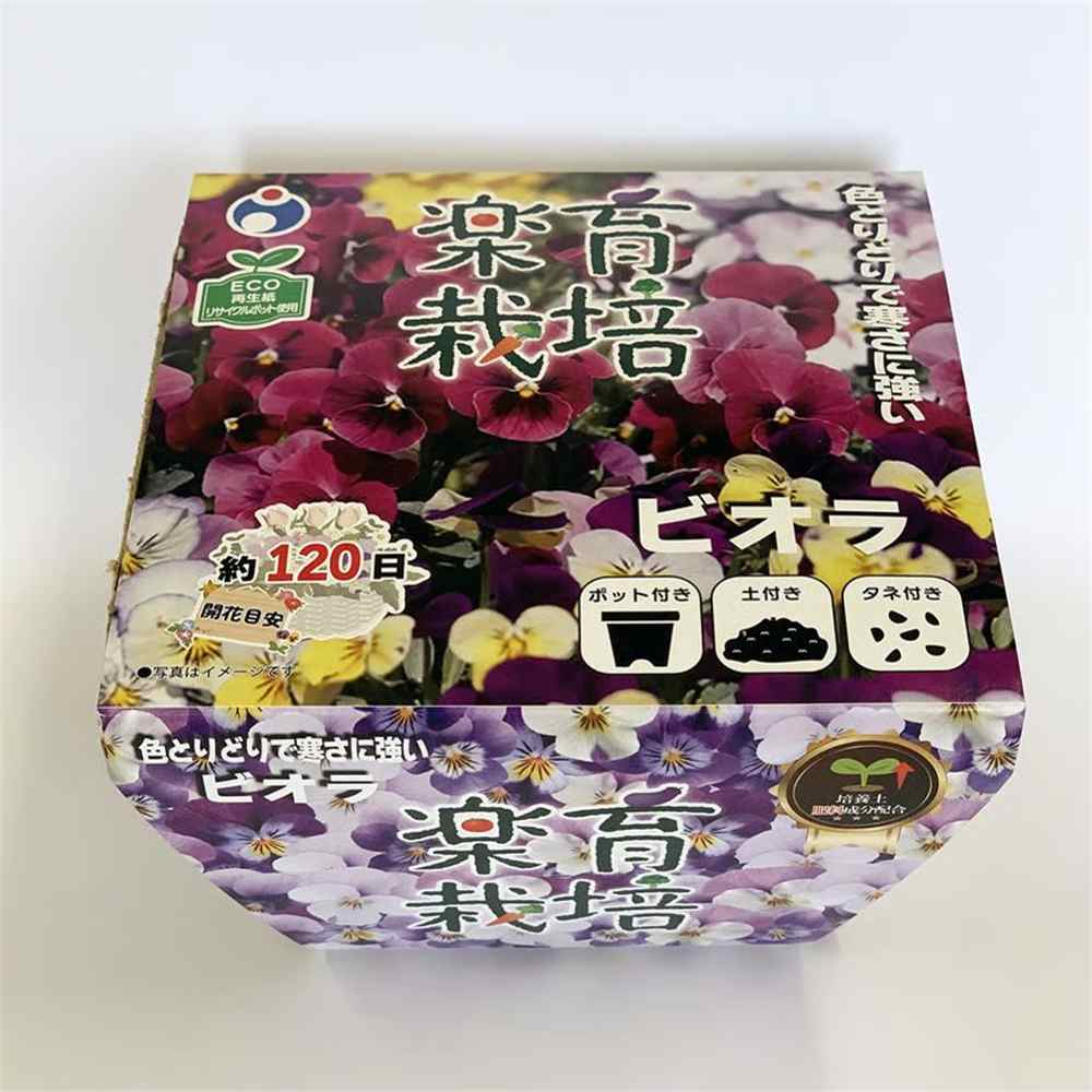 ウタネ 楽育栽培キット ビオラ [栽培セット 花 ベランダ コンパクト 初心者向け 再生紙ポット ECO] 87220