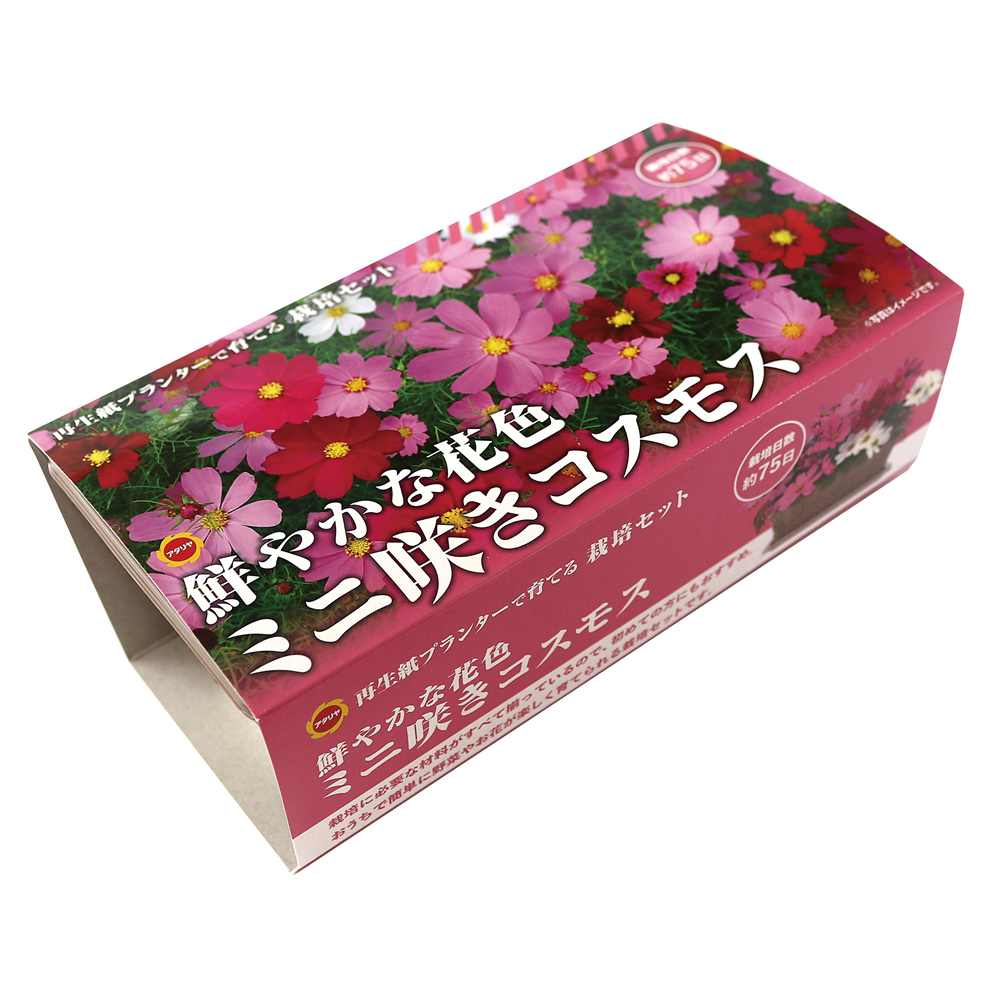 アタリヤ農園 栽培セット ミニ咲きコスモス [栽培キット 花 ベランダ コンパクト 初心者向け 再生紙プランター] 1セット