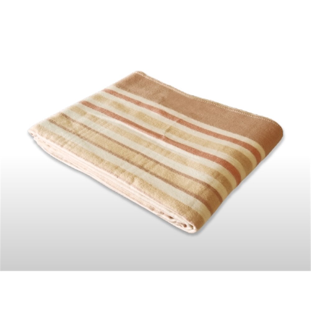 TEKNOS テクノス 洗える掛敷毛布 大判セミダブルサイズ 200×140cm [電気毛布] EM-8013