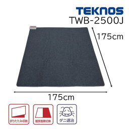 TEKNOS テクノス 防音厚手 ホットカーペット 2畳用 (本体) 175×175cm [電気カーペット 暖房用品 あったか ダニ退治 折りたたみ収納] TWB-2500J ダークグレー