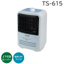 TEKNOS テクノス ミニファンヒーター 600W 暖房 温風 足元 コンパクト ミニサイズ 暖かい TS-615 ホワイト