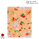 御朱印ホルダー 苺桜 橙 おしゃれ 送料無料 朱印帳 ご朱印帳 かわいい ご縁 御縁 御朱印 帳 御朱印帖 朱印 ご朱印帖 ノート 和紙 可愛い 蛇腹折り 日本...