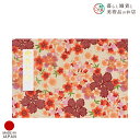 御朱印ホルダー 見開きサイズ 鹿の子桜(かのこざくら) きなり おしゃれ 送料無料 朱印帳 ご朱印帳 かわいい ご縁 御縁 御朱印 帳 御朱印帖 朱印 ご朱印帖...