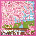 風呂敷 三毛猫みけの夢日記 みけのお花見/4月 綿(100%)シャンタン 中巾 約50cm おしゃれ ふろしき テーブルクロス カバー インテリア 瓶包み クロ...