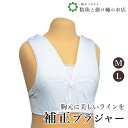 【お得なクーポン配布中!】 補整ブラジャー 送料無料 和装小物 和服 和装 便利アイテム 便利グッズ 着物 帯揚げ 帯締め 着付け小物 和装小物 きもの キモノ...